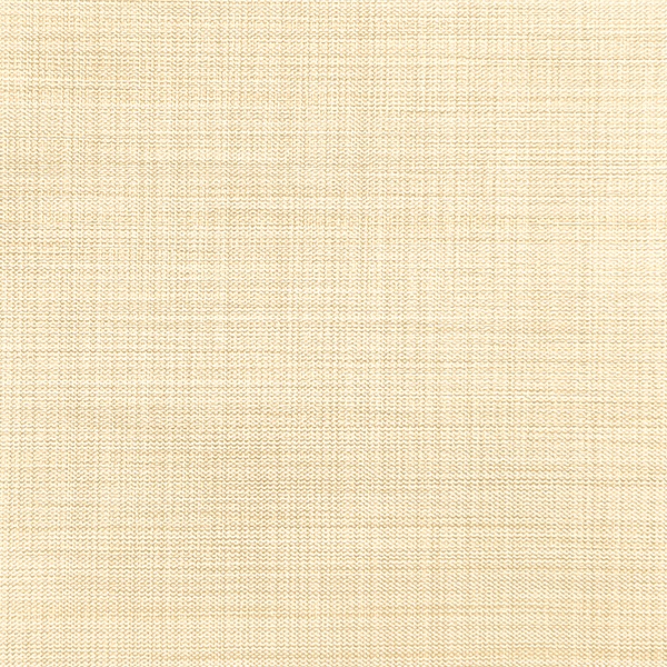 Ткань для рулонных штор на проем Benone 7858 - изображение 1 - заказать онлайн в салоне штор Benone в Хотьково